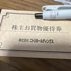 ニトリホールディングス 株主お買物優待券　1枚