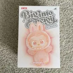 2025年最新】Popmart labubu シークレットの人気アイテム - メルカリ