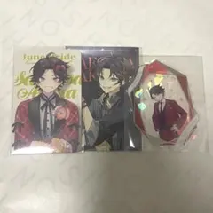 三枝明那 まとめ売り ジュンブラ 七次元生徒会 7周年