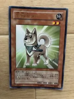 遊戯王　柴戦士タロ