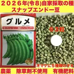 スナップエンドウ豆の種60+3個　自家採取種❣️オマケに５種類のタネ♥︎のサムネイル