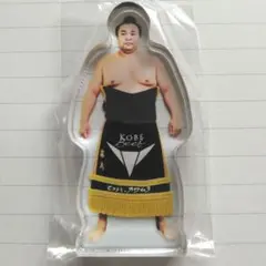 Item thumbnail for item 89e6210a-cadd-41d3-99de-5a4d7179bd86