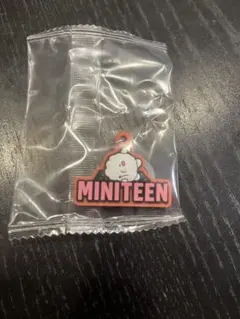 MINITEEN セブチ ぷっくりめじるしアクセサリー ウジ