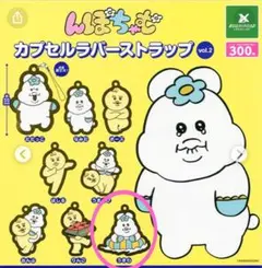 んぽちゃむ うきわ カプセルラバーストラップ