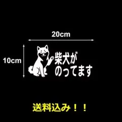 【スピード発送】【匿名配送】柴犬がのってます　カッティングステッカー　１