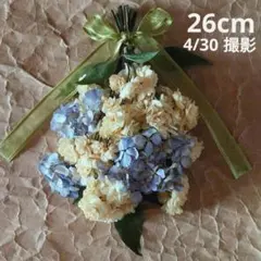 青＆白　紫陽花と水仙のドライフラワースワッグ # 373