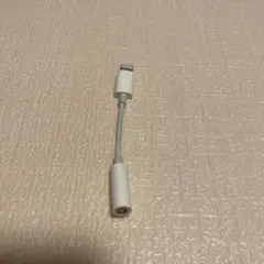Apple 変換アダプター