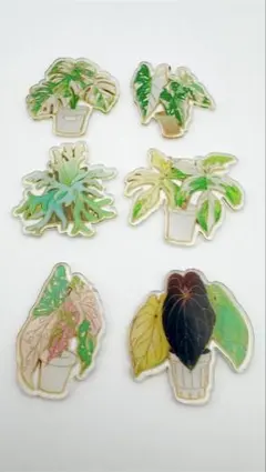 観葉植物モチーフ ワッペン 6個セット