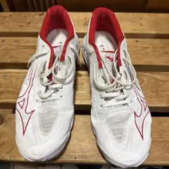 MIZUNO WAVE LIGHTREVO バレーボールシューズ24、5 - メルカリ