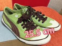 PUMA プーマ ＊キャンバス スニーカー＊グリーン×ブラウン 25.5cm