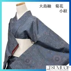小紋　大島紬　菊　竹　唐草　菱　亀甲　着物　072a d