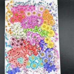 Item thumbnail for item 0f16cffa-7c31-4e9e-890b-b12b588269df