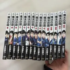 【中古】颯汰の国　コミック　1-9巻セット Amazon.co.jp: 颯汰の国 (1) (ビッグコミックス) : 小山 ゆう: 本