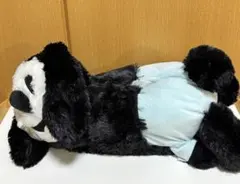 オズワルド　ティッシュケースぬいぐるみ