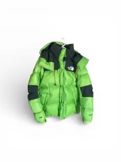 THE NORTH FACE SUMMIT SERIES ダウンジャケット