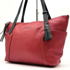 【美品】Cole Haan シボ革　タッセル　肩掛け　トートバッグ