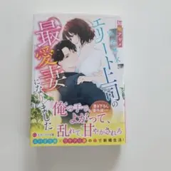 完全無欠のエリート上司の最愛妻になりました