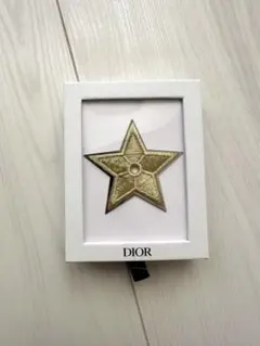Dior 星モチーフ ピンバッチ ノベルティ 正規品 非売品