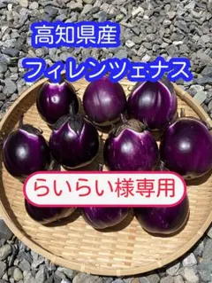 らいらい様専用 フィレンツェナス6玉