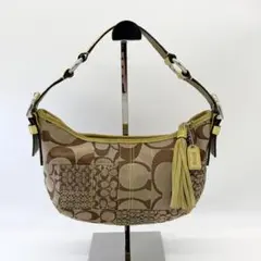Vintage Coach Patchwork Hobo Bag y2k