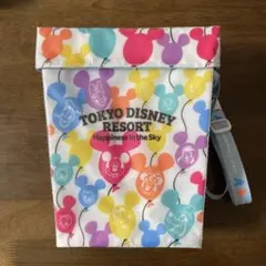 東京ディズニーリゾート ポップコーンバケツ