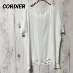 【CORDIER】コルディア　トップス　シャツ　シアー　白　透け感のサムネイル