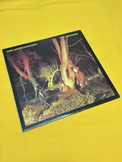 ECHO AND THE BUNNYMEN CROCODILES