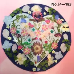 押し花素材　✳️ 小花 盛り合わせ商品 *↟⍋*↟ ⑱