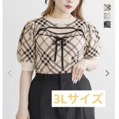 CLETTE デコルテオープンチェック柄ニット 半袖　3L 新品タグ付きのサムネイル