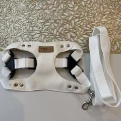 Item thumbnail for item 3b7327d4-92ce-41e0-9d54-e398c05a292f