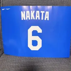 中日ドラゴンズ☆引退セレモニー　中田翔