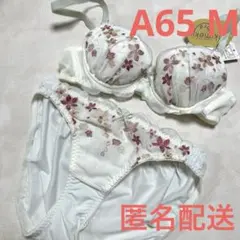 チュチュアンナ　ブラジャー＆ショーツ　A65&M