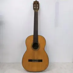 2026年最新】鈴木バイオリン+アコースティックギターの人気アイテム