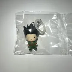 HUNTER×HUNTER めじるしアクセサリー ゴン