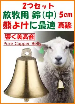 Item thumbnail for item 4307a821-1748-4f39-8a0a-cc2ee288a457