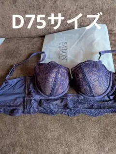 SALONbyPEACHJOHNフェアリーペタルブラD75&ソングM/L 2026年最新】ピーチ・ジョン salon byの人気アイテム - メルカリ 