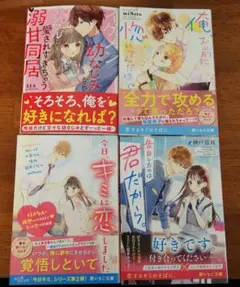 野いちご文庫小説　4冊セット
