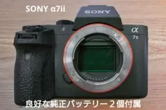 2025年最新】sony α7iii バッテリーの人気アイテム - メルカリ