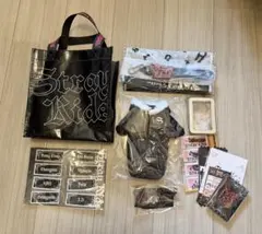 【未開封】スキズ Domin アプグレ特典 & FC更新特典 & STW特典のサムネイル