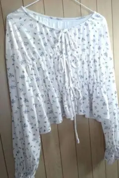 Item thumbnail for item 35673cd0-c0a6-47bf-9140-a679fb8e55a4