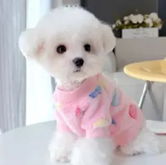 Item thumbnail for item 9b88113f-09f7-4662-8b46-c2c0bb9ec2df