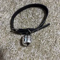 Item thumbnail for item 2922574d-2f00-451d-a685-3ed3fee763e3