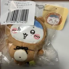 値下しました。たぬきだもんくじ　C賞:ぜったいたぬきなマスコット（整った顔立ち）