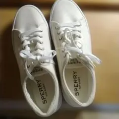 SPERRY TOP-SIDER