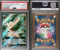 2026年最新】リーフィアgx psa10の人気アイテム - メルカリ
