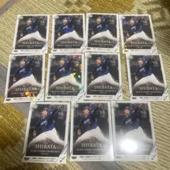 rajonrondon様 リクエスト 2点 まとめ商品