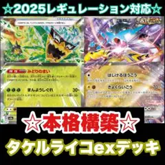 ☆本格構築☆タケルライコexデッキ【構築済みデッキ】