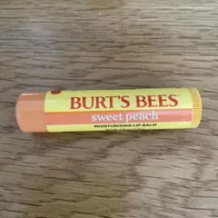 Burt's Bees moisturizing Lip Balmのサムネイル