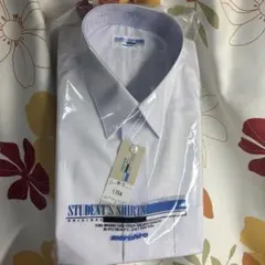 Item thumbnail for item 6b1a1745-c343-4294-bddf-f929b7b0b8c9