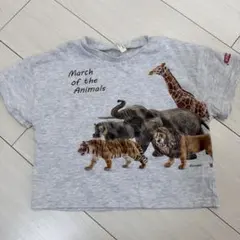 新品 サマンサモス2 Tシャツ アニマルのサムネイル